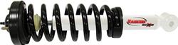 Strut, Spring Assembly, 4WD, Ford, Each