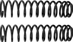 Coil Springs, Performance Lift Coil Springs, Front, Lifted, 4.00 in. Front Raised Amount, Black, Jeep, Pair