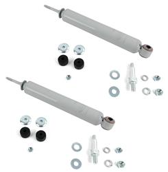 Steering Stabilizer, White, White, Dual, Ford, Pickup, Kit