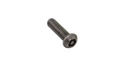 M6 x 20mm Button Security Screw (Stainless Steel) (6 Pack)