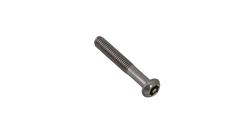 M6 x 40mm Button Head Security Screw (Stainless Steel) (6 Pack)