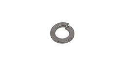 M8 Spring Washer (Stainless Steel) (10 Pack)