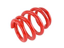 Coilover Spring, Rear Coilover Race SpringsRed 14KG 06-11 Honda Civic