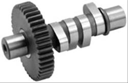 Camshaft, Evolution, 238 Intake/252 Exhaust, 0.510 Intake, /0.510 in. Exhaust, Harley-Davidson®, Each