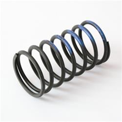 Wastegate Spring, Helical Type, Inner, 5 lbs. Operating Range, Stainless, Black/Gray, Each