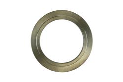 WG50 Inlet Weld Flange Titanium