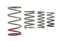 GenV IWG Spring Replacement Kit