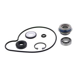 VERTEX EX VALVE GASKET SET
