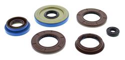 VERTEX OIL SEAL KIT