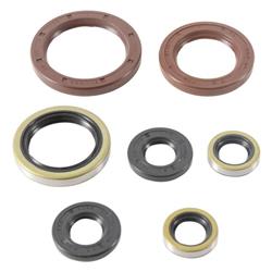 VERTEX ENGINE OIL SEAL SETARNA ARNA