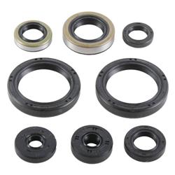VERTEX ENGINE OIL SEAL SETAKI AKI
