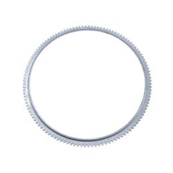 ABS Tone Ring, Steel, Differential Position, Ford, Each