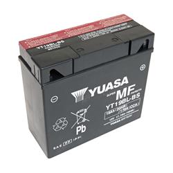 Battery, AGM Maintenance-Free Batteries, AGM, Starting, 12 V, 255 amps, Top Terminals, Each